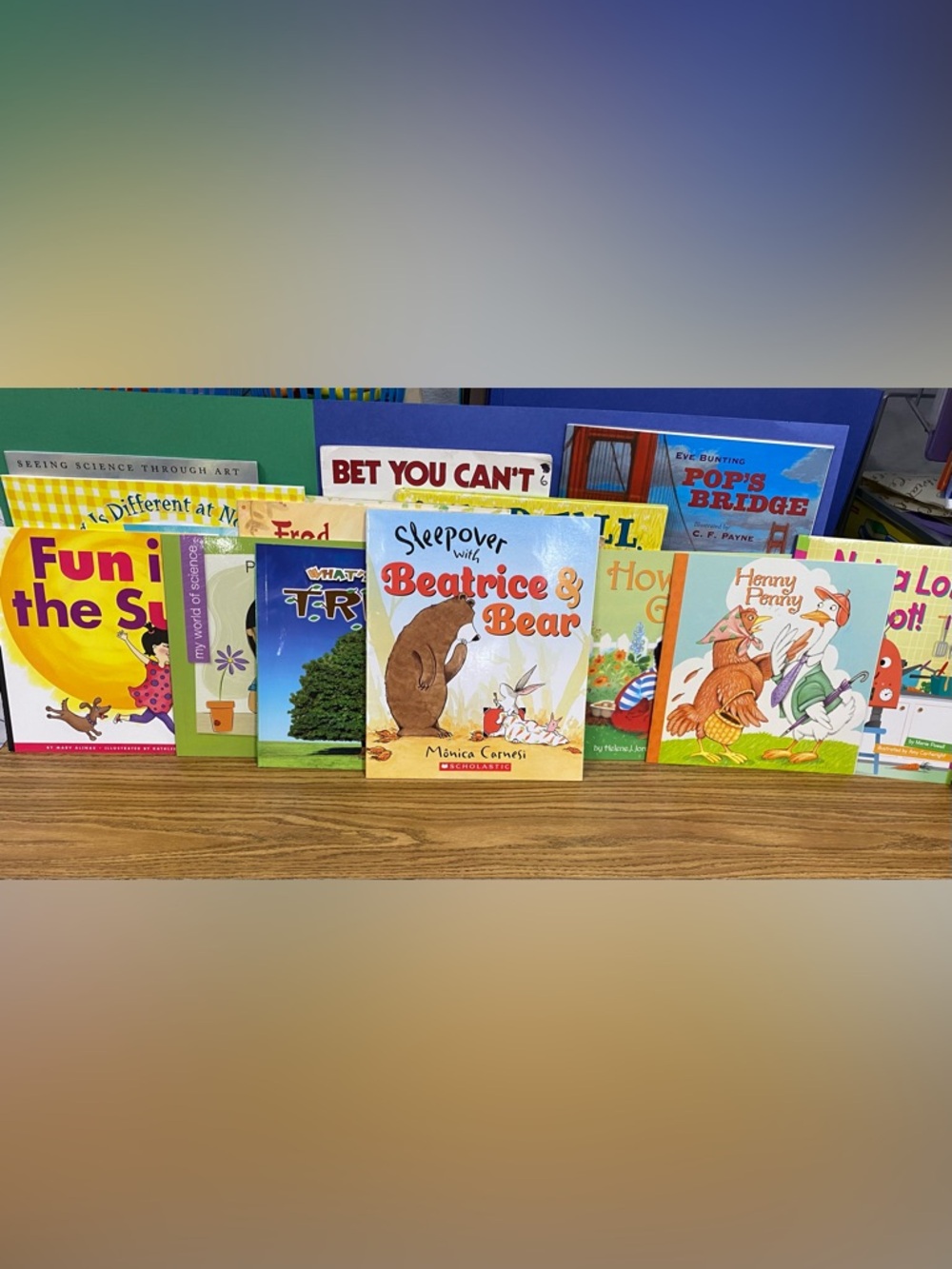 Set of 16 Children’s Books